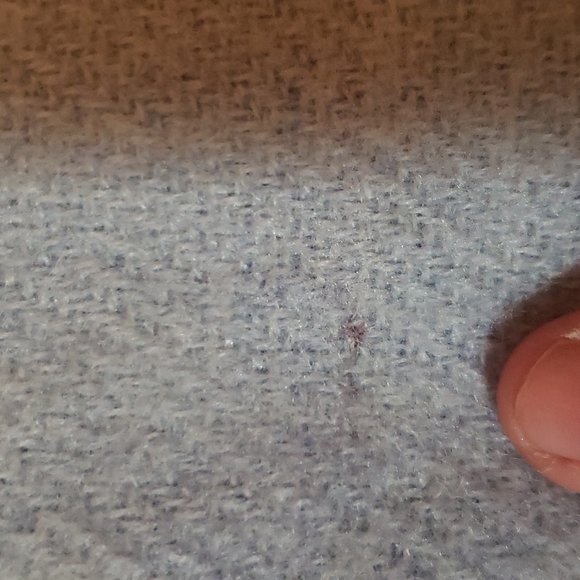 NWOT Banana Republic Pale Blue Scarf - Picture 3 of 3